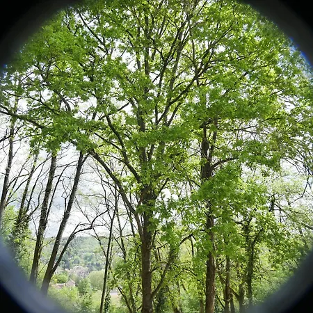 Hébergement de vacances Gite De Groupe Ecoresponsable